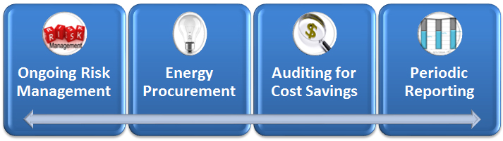 Our services include risk management, procurement, auditing, and reporting